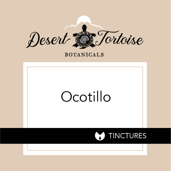 Best Sellers – Desert Tortoise Botanicals